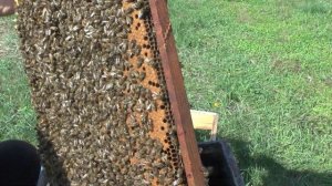 Подогрев ульев в ранневесеннее время когда бывают возвратные холода, устройство подогревателя.