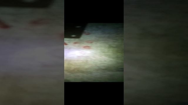 мои сквиши и Таба лапки☺️ смотреть онлайн