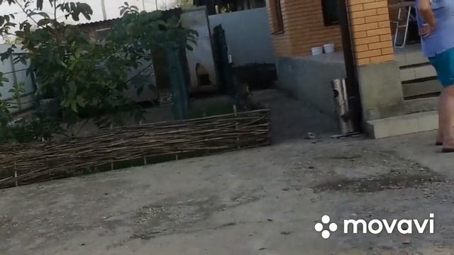 Жара ушла /сменили место обитания / будем рости \ смотреть онлайн