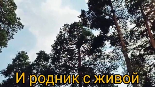 Социально-экологическая видеореклама "Сохраним лес от пожаров" смотреть онлайн