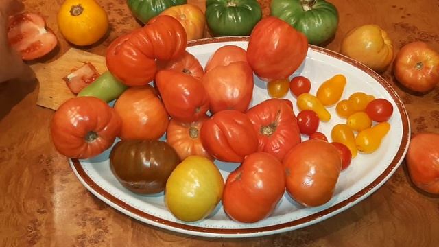 Натуральные помидоры из средней полосы смотреть онлайн