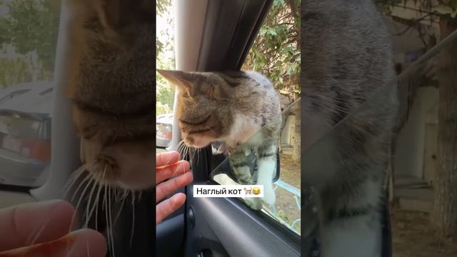 Корпорация Юмора - Видео сообщества @smehobaza смотреть онлайн