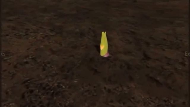 Өсімдіктердің вегетативті көбеюі. Биология 7-сынып смотреть онлайн