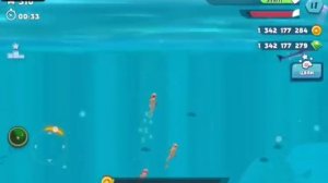 Самая лучшая особая акула в hungry shark evolution