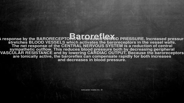 Medical vocabulary: What does Baroreflex mean смотреть онлайн
