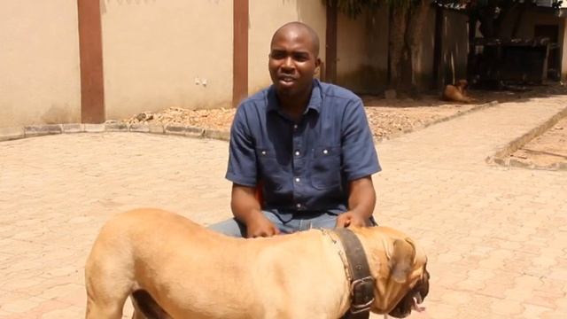 Kennel Trip to Crown Kennels смотреть онлайн