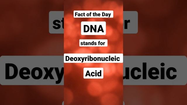 Fact of the Day: DNA stands for Deoxyribonucleic Acid смотреть онлайн