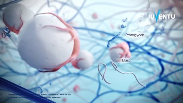 HArmonyCa dermal ﬁller • Iuventu Clinic смотреть онлайн