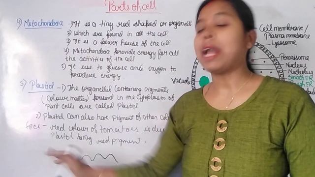parts of cell ( mitochondria and plastid) structure and function смотреть онлайн