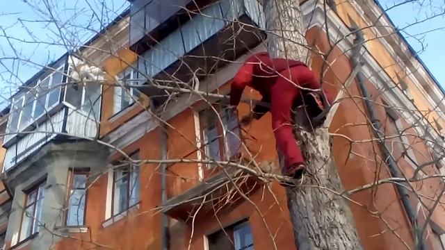 парень молодец!!!!! помог кошки смотреть онлайн