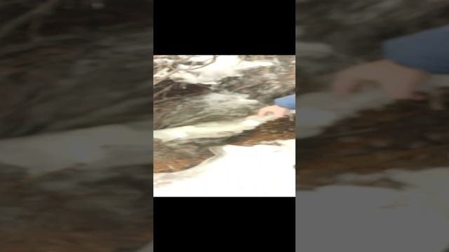 канава смотреть онлайн