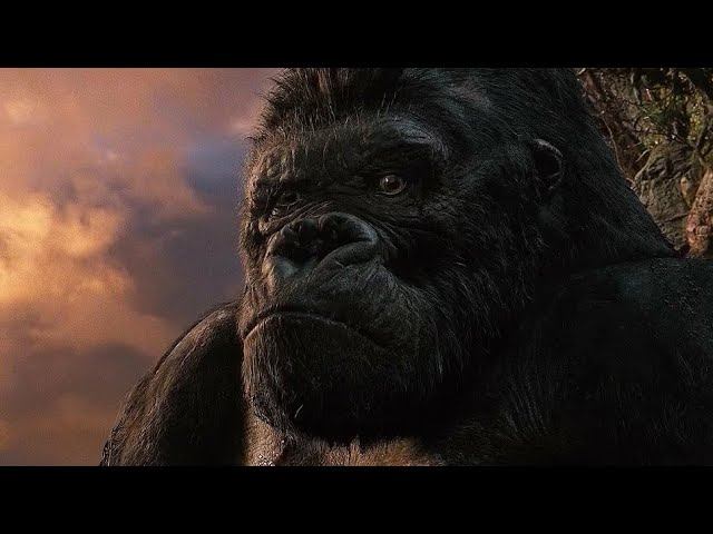 Старый добрый King Kong (Кинг-Конг). Часть 1. (2005). смотреть онлайн