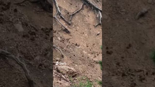 Из фильма «Русские• XXI век».49 смотреть онлайн