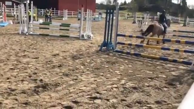 MG Horse Emmy смотреть онлайн