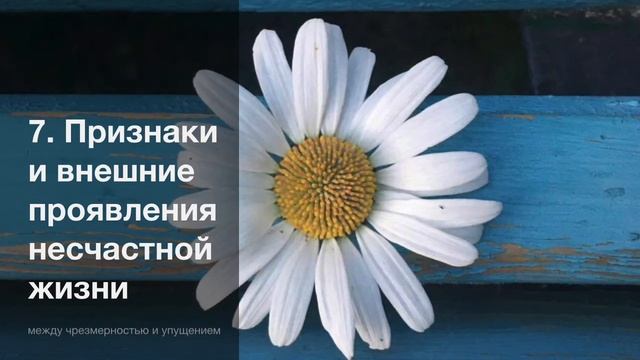 Признаки и внешние проявления несчастной жизни / Прекрасная жизнь смотреть онлайн