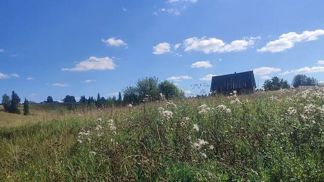 2023 год Август. Большой Кумикуш. 41