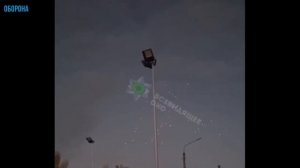 Цветёт Герань