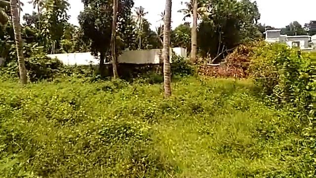 Plot 15 cent for sale near (ID 3028) Kureekad Tripunithura 5 L/cent смотреть онлайн