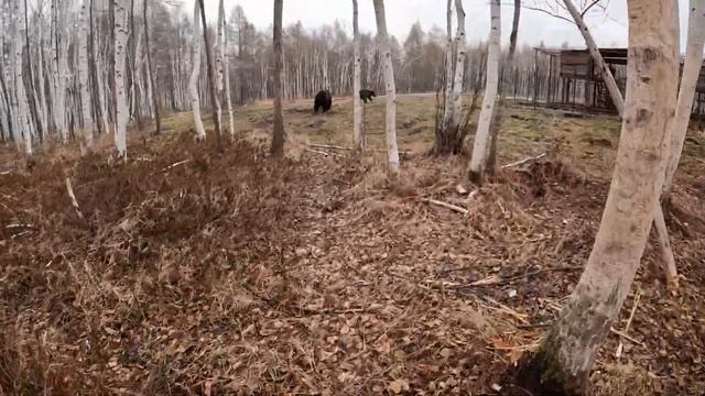 Дуся закатила истерику. смотреть онлайн