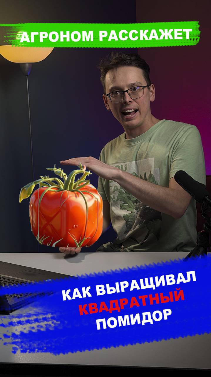 Квадратный помидор смотреть онлайн