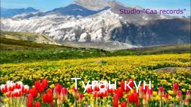 Туған күн. Әннің минусы - 2000тг. WhatsApp: 8-701-379-98-08 смотреть онлайн
