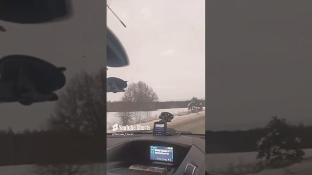 Едем на дискотеку, с недовольным котом 😁 #shorts смотреть онлайн