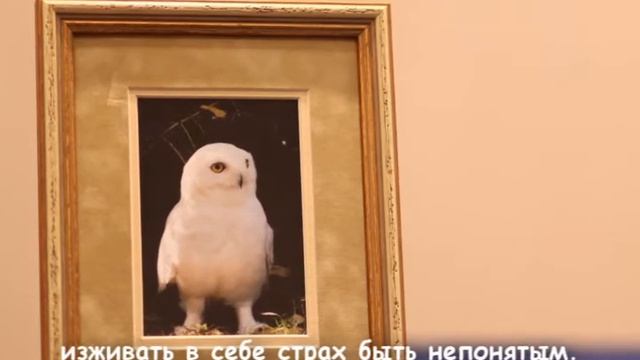 Эниомодулятор Сова смотреть онлайн