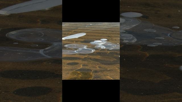 Лёд как стекло. Чудо. смотреть онлайн