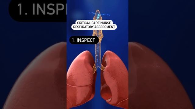 respiratory system respiratory system anatomy and physiology respiratory system crash course icu rn смотреть онлайн