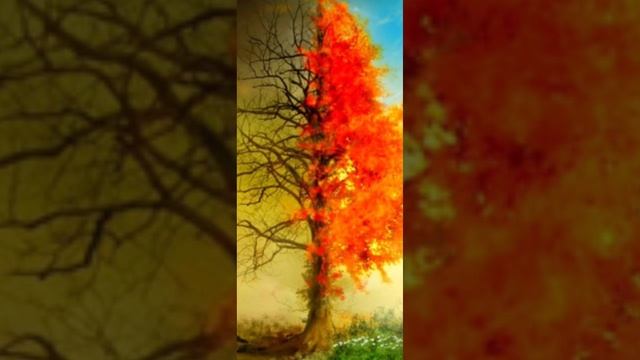 Аудио книга Рай и Ад #аудиокниги #аудиокнига #книги #русский #audiobook #russian