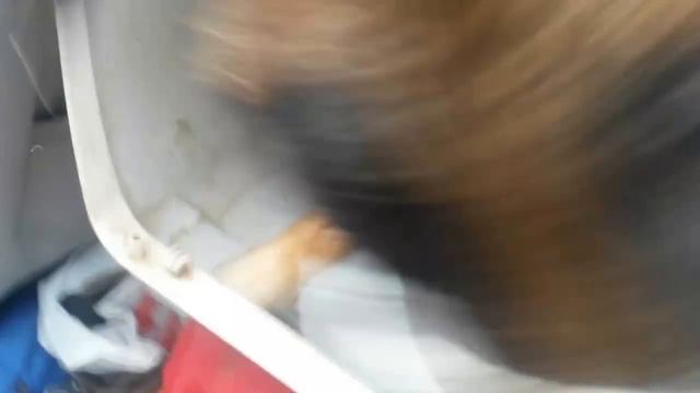 20150825 Essex a vystupování z přepravky - 2. den u nás. смотреть онлайн