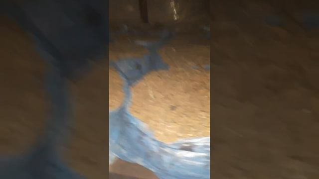 Свой компост и своя покровка смотреть онлайн