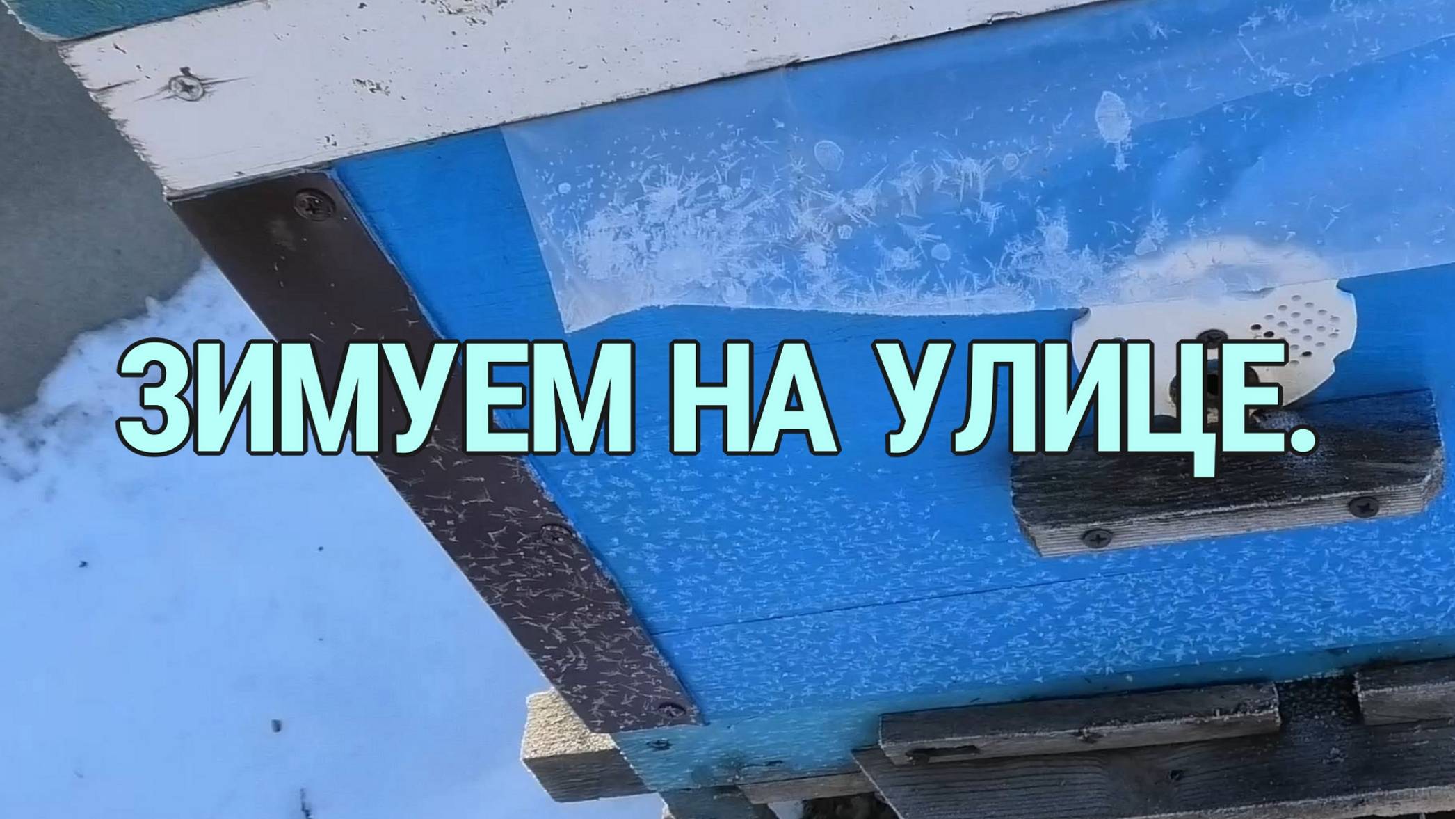 ЗИМОВКА ПЧЁЛ НА УЛИЦЕ.ПЛАНЫ НА СЛЕДУЮЩИЙ СЕЗОН. смотреть онлайн