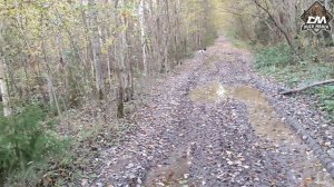 тестируем новинку Медвежонок для ходовой охоты