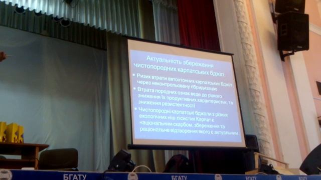 Папп Виктор Васильевич о карпатской пчеле смотреть онлайн