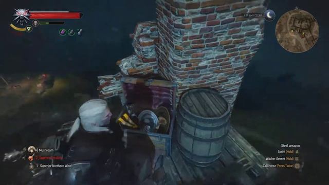 The Witcher 3: Hearts of Stone Playthrough Part 13 - Wild Rose Dethorned (Postgame Exploration) смотреть онлайн