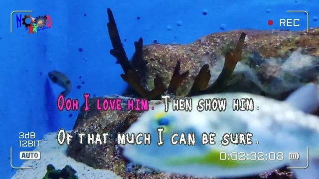 Tell Him - Barbara Streisand & Celine Dion Duet #karaoke смотреть онлайн
