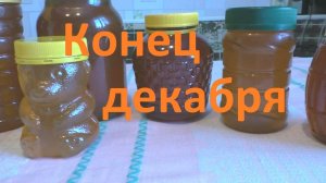 Откуда зимой берется жидкий мед