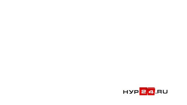 Студент из Ноябрьска спас выброшенных на помойку щенков смотреть онлайн