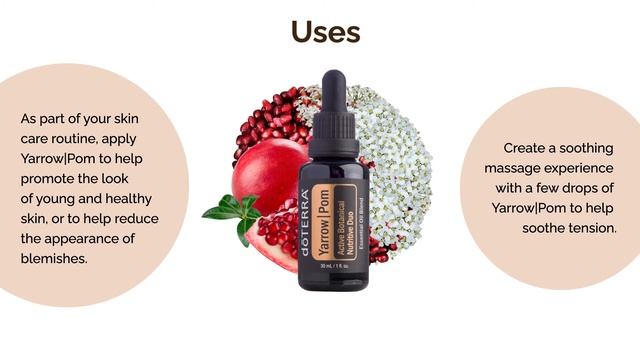 doTERRA Yarrow Pom Essential Oil-DEOWA Academy Group смотреть онлайн