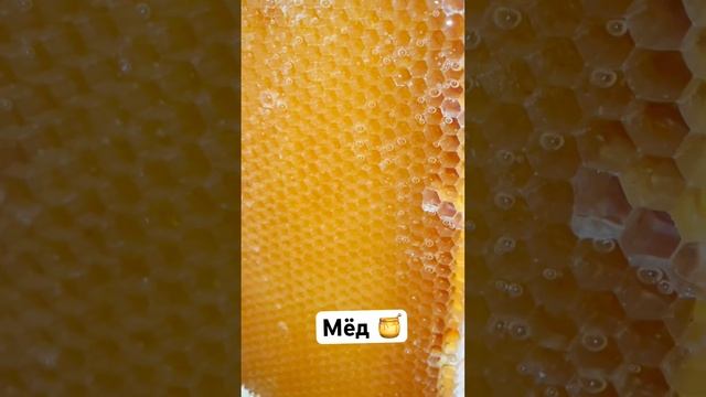 Мёд натуральный #мёд #пчеловодство #honey смотреть онлайн