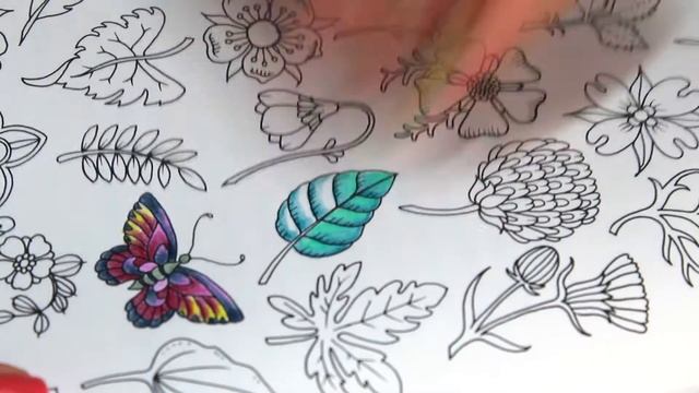 Colorindo Ivy and the Inky Burtterfly - "Espécies do Mundo de Ivy" - Speed Color #1 смотреть онлайн