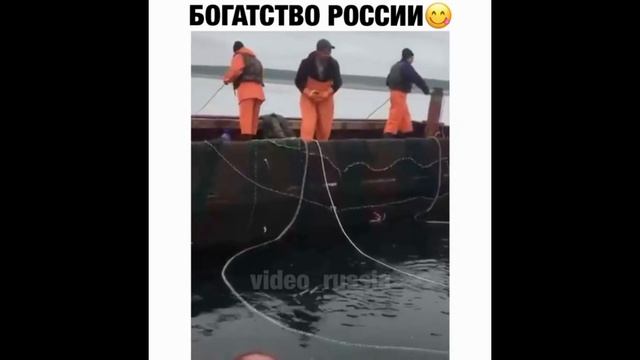 ПРИКОЛЫ 2020 до слез угар ТЕСТ НА ПСИХИКУ 2020 ржака прюколюха 10 МИНУТ смеха смотреть онлайн