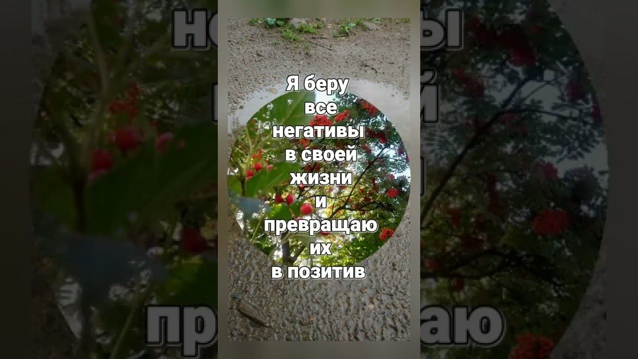 Я беру все негативы в своей жизни и превращаю их в позитив.