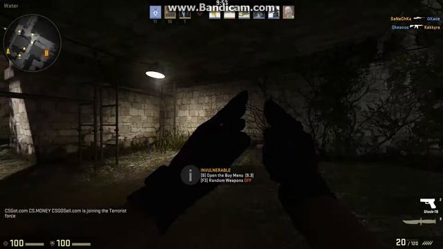 Getting Sticker | TSM Kinguin (Holo) | Katowice 2015 is exciting! смотреть онлайн