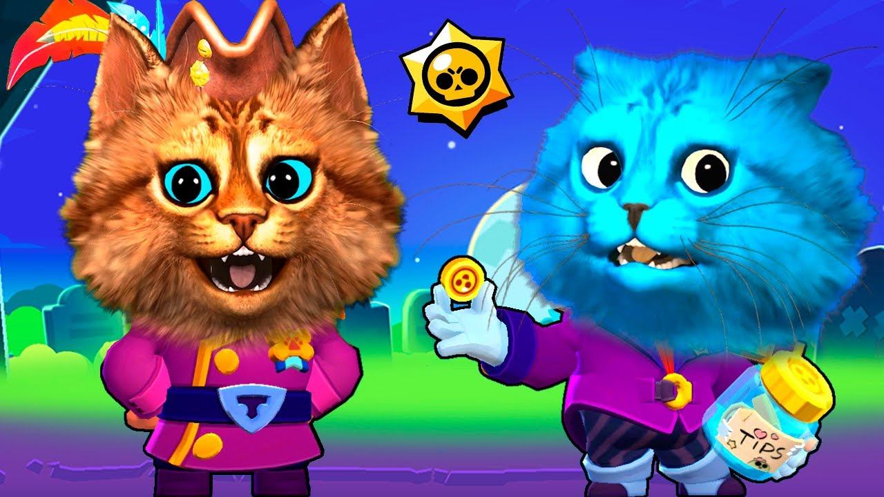 КАЖДАЯ ИГРА НОВЫЙ БРАВЛЕР БИТВА КОТОВ В BRAWL STARS Весёлый Кот и КОТЁНОК ЛАЙК