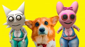 ТОЛСТЫЕ СПРУНКИ НАС СНОВА ОБМАНУЛИ!! Корги Коржик Говорящая собака)