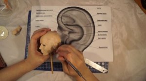 Лепка головы куклы 4 часть