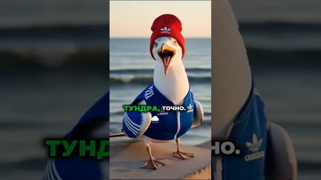 😂Самые смешные и познавательные беседы у нас на канале #философия #подкаст #альтернативнаяистория смотреть онлайн