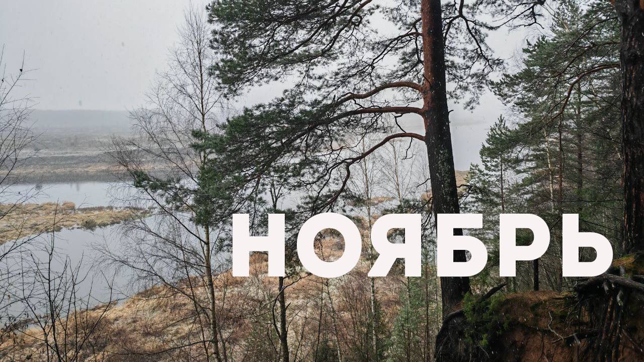 СМУТНОЕ ВРЕМЯ #25 смотреть онлайн